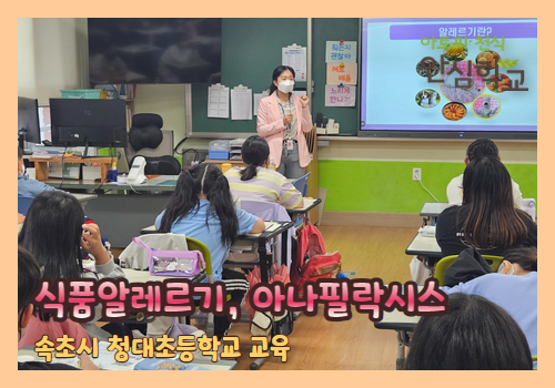 갤러리